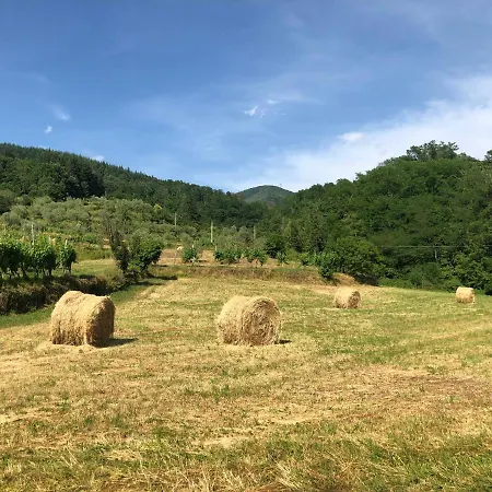 Lejlighed Lunigiana Experience *