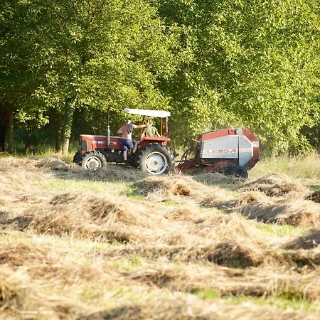 Lejlighed Lunigiana Experience Pontremoli